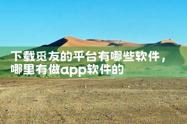 下载觅友的平台有哪些软件