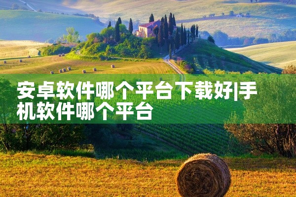 安卓软件哪个平台下载好