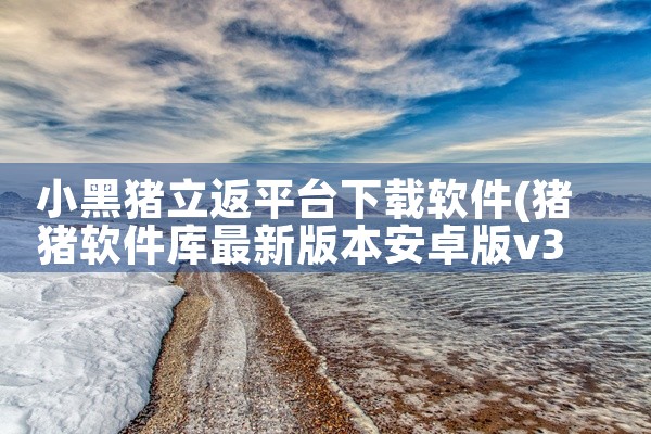 小黑猪立返平台下载软件