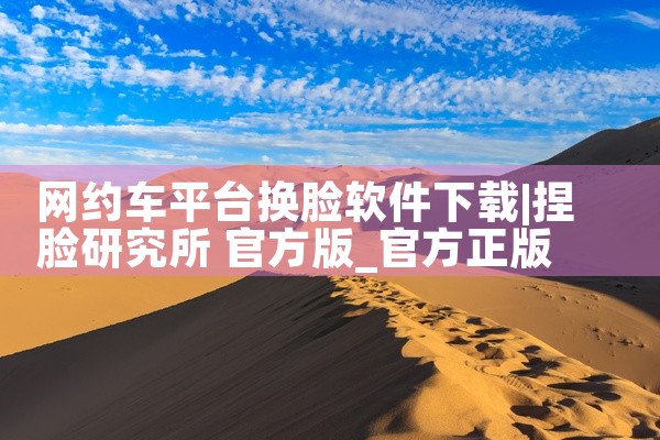 网约车平台换脸软件下载
