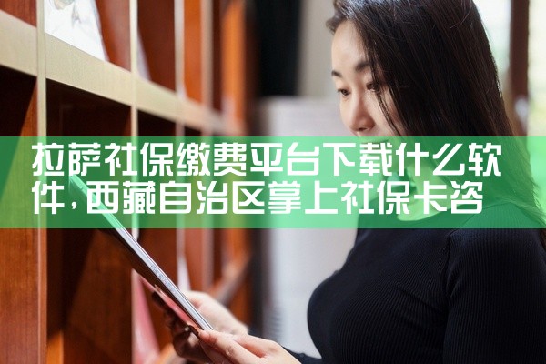 拉萨社保缴费平台下载什么软件