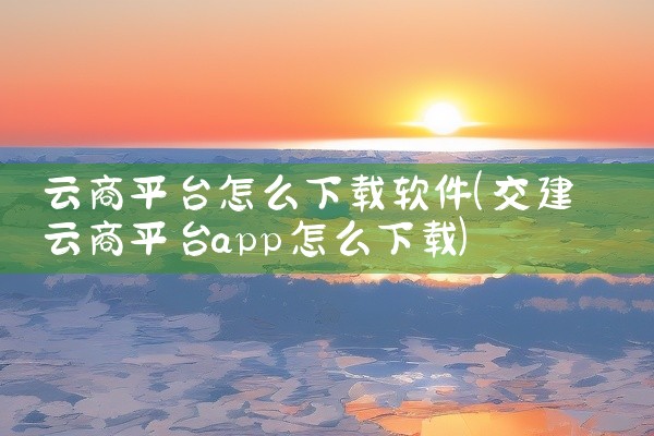 云商平台怎么下载软件