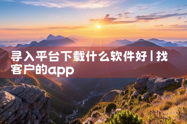 寻入平台下载什么软件好